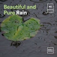 Beautiful and Pure Rain