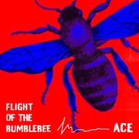 Flight of the Bumblebee