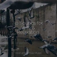 30 Sounds for Reiki & Relaxation