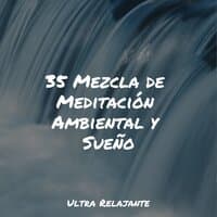 35 Mezcla de Meditación Ambiental y Sueño