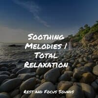 Soothing Melodies | Total Relaxation