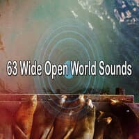 63 Wide Open World Sounds