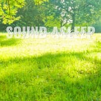 Sound Asleep: Calming Wind Sounds in the Green Field