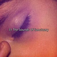 31 The Sounds Of Sanctuary