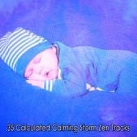 35 Calculated Calming Storm Zen Tracks