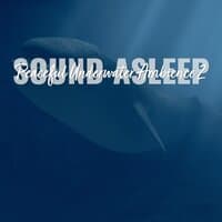 Sound Asleep: Peaceful Underwater Ambience 2