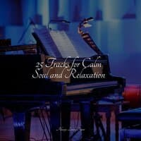 25 Tracks for Calm Soul and Relaxation