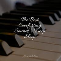 The Best Comforting Sounds | Deep Sleep