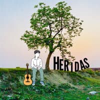 Heridas