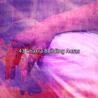 43 Chakra Building Auras