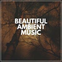 Beautiful Ambient Music