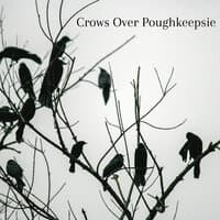 Crows over Poughkeepsie