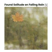 Found Solitude on Falling Rain