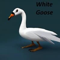 White Goose