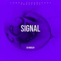 Signal