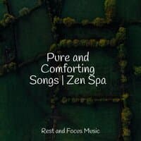 Pure and Comforting Songs | Zen Spa