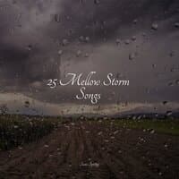 25 Mellow Storm Songs