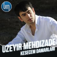 Kesecem Damarlari