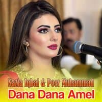 Dana Dana Amel