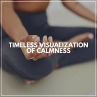 Timeless Visualization of Calmness