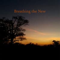 Breathing The New