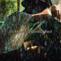 65 ANatural Perfect Rest