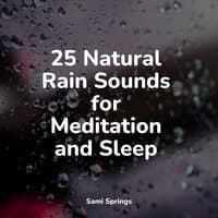 25 Natural Rain Sounds for Meditation and Sleep