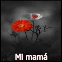 Mi mamá