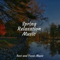 Spring Relaxation Music