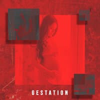 Gestation: Sounds to Listening during Pregnancy for the Unborn Baby and His Mother