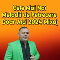 Cele Mai Noi Melodii de Petrecere Doar Aici 2024 Mixaj