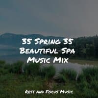 35 Spring 35 Beautiful Spa Music Mix