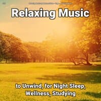 #01 Relaxing Music to Unwind, for Night Sleep, Wellness, Studying