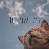 To Calm Cats