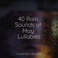 40 Rain Sounds of May Lullabies