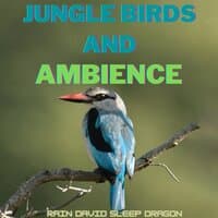 Jungle Birds and Ambience