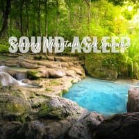 Sound Asleep: Relaxing Mountain Creek Sounds 3