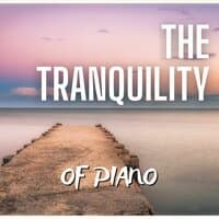 The Tranquility of Piano