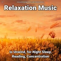 #01 Relaxation Music to Unwind, for Night Sleep, Reading, Concentration