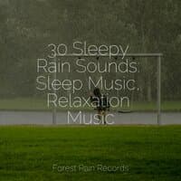 30 Sleepy Rain Sounds: Sleep Music, Relaxation Music