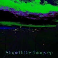 Stupid litle things ep