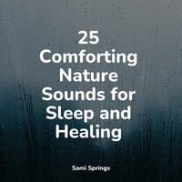 25 Comforting Nature Sounds for Sleep and Healing