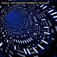 Datadream Ambient Session