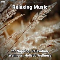 #01 Relaxing Music for Napping, Relaxation, Wellness, Holistic Wellness