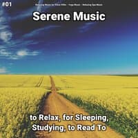 #01 Serene Music to Relax, for Sleeping, Studying, to Read To