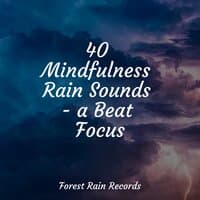 40 Mindfulness Rain Sounds - a Beat Focus