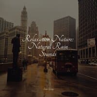 Relaxation Nature: Natural Rain Sounds