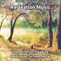 #01 Relaxation Music to Unwind, for Sleeping, Meditation, to Feel Better