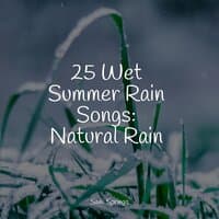 25 Ambient Rain Sounds