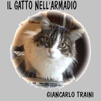 Il Gatto Nell'Armadio